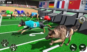 Mẹo Chơi Game Nhanh Đua Chó Tại OK365 Giúp Bạn Luôn Thắng Thế 1 Mẹo Chơi Game Nhanh Đua Chó Tại OK365 Giúp Bạn Luôn Thắng Thế